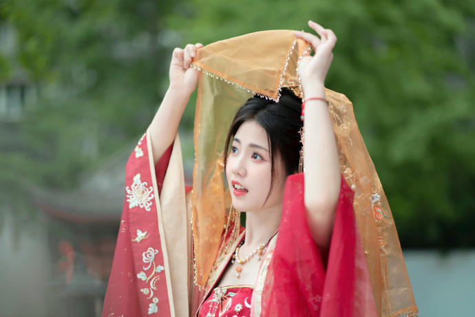 长月烬明 封面